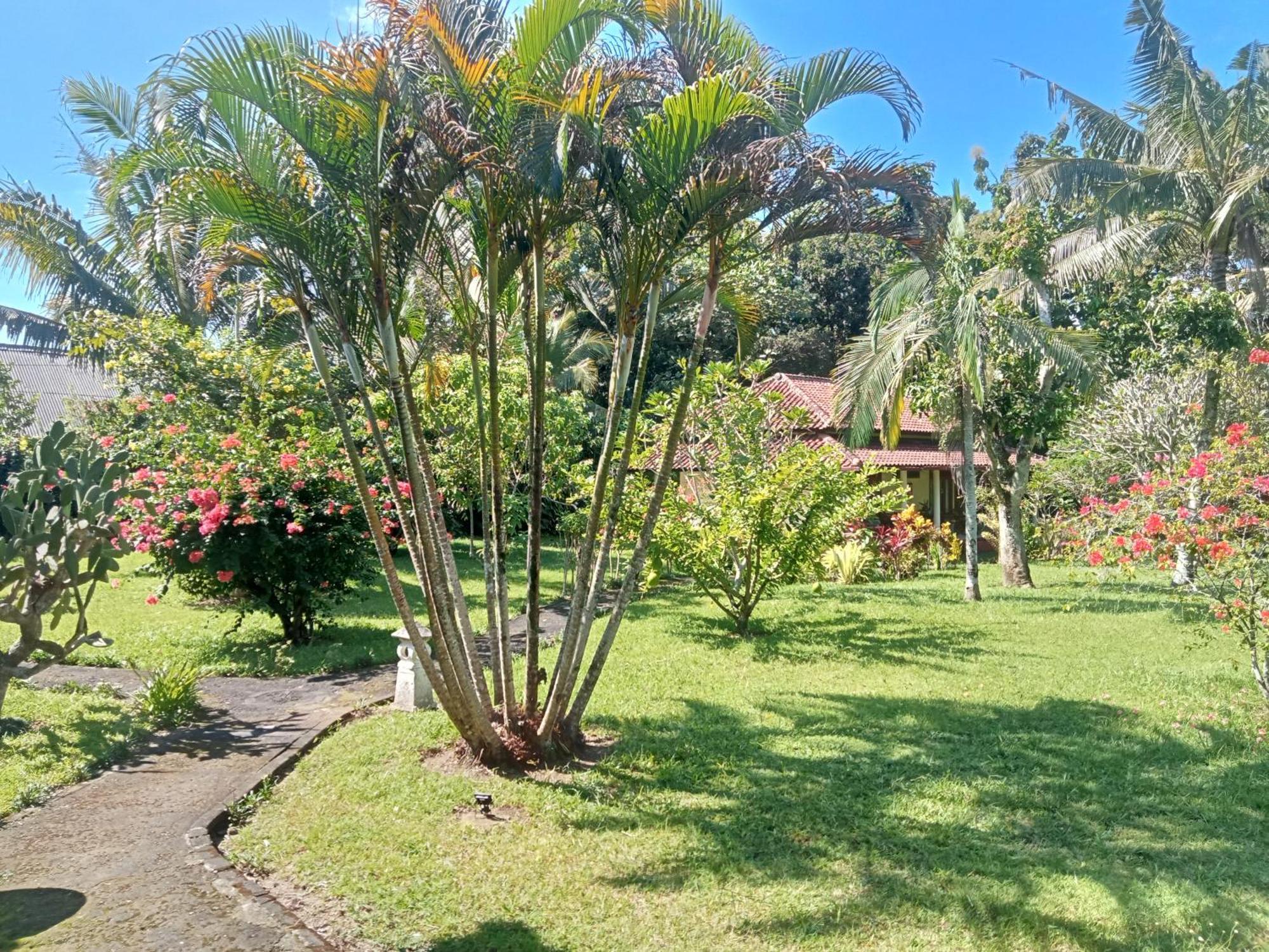 Guesthouse Rumah Senang Kalibaru Exteriör bild